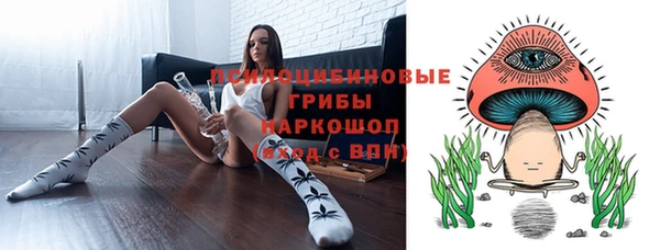 мяу мяу мука Козловка