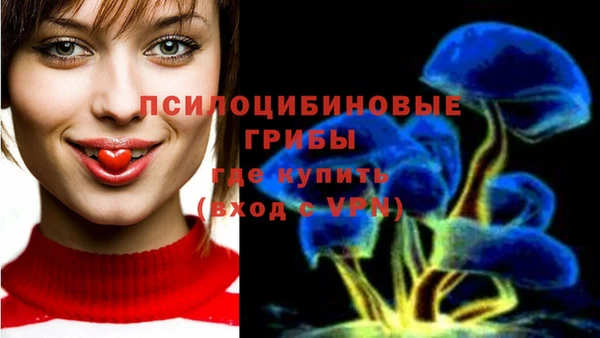 твердый Кодинск